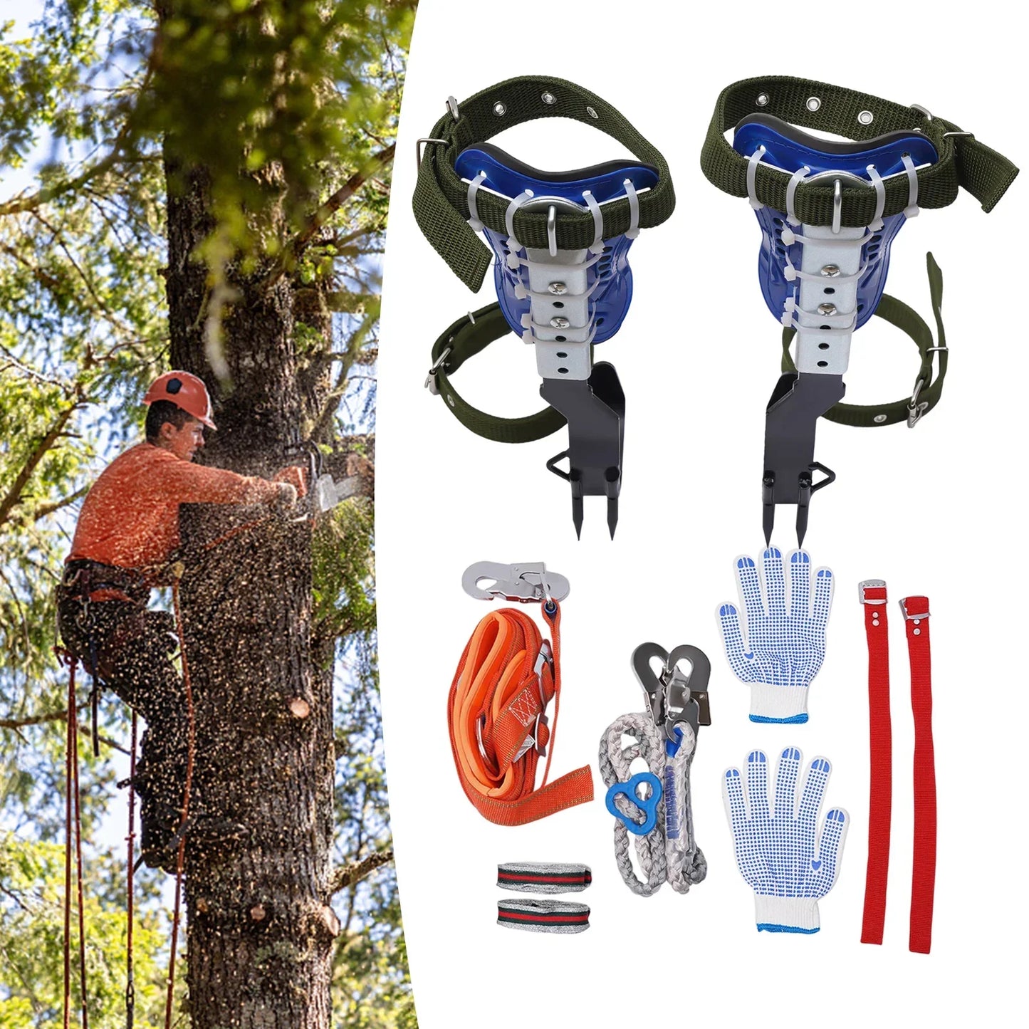 Tree Pole Climber Climbing Spike Kit with Safety Gear