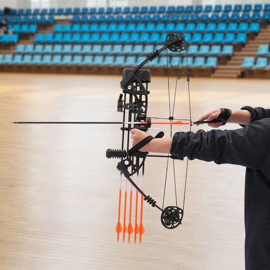 35-70lbs 329fps Adult Compound Bow Kit with 12 Arrows