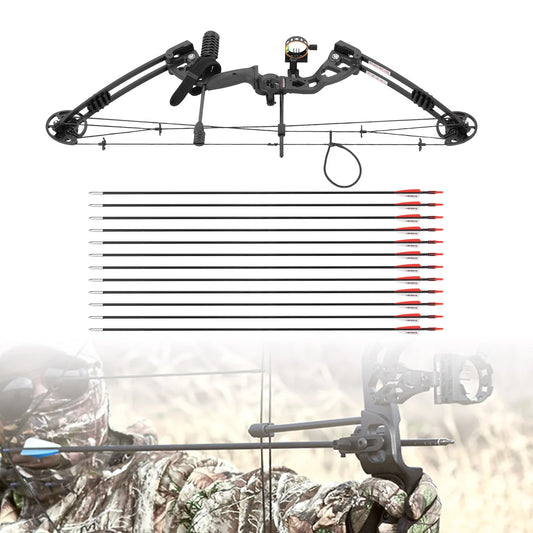 Compound Bow Recurve Bow w/ 12x Arrows Set Right Hand Archery Tool for Adult Hunting Training